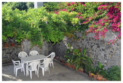 Casa com Quinta Tradicional Pico da Pedra portugal
