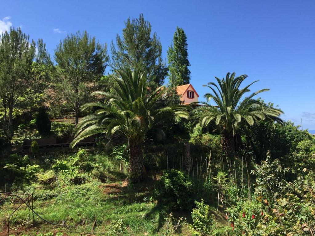 Maison de vacances Casa d'Olívia Sitio da Terra Batista, 9225-250 Porto da Cruz