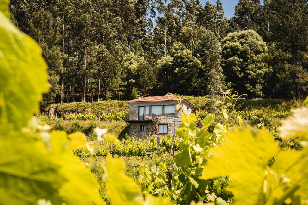 Maison de vacances Casa da Cardenha N225, 4550-362 Castelo de Paiva