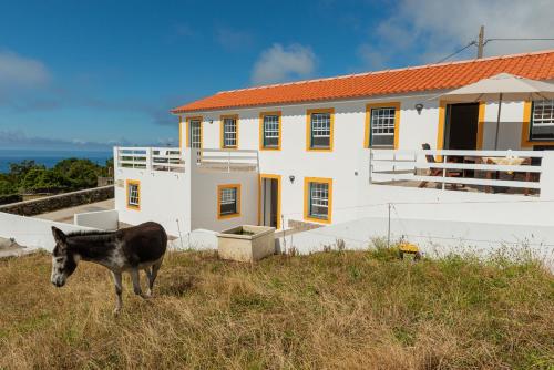 Maison de vacances Casa da Figueirinha Canadas da Saúde Calheta de Nesquim