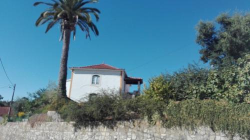 Casa da Palmeira Outeiro da Cortiçada portugal