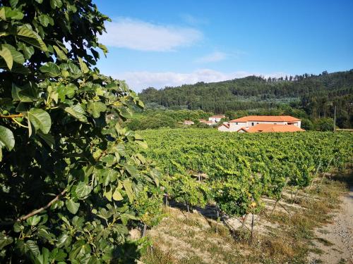 Casa da Portela - Sem Igual Meinedo portugal