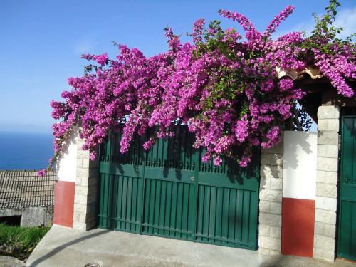 Maison de vacances Casa da Rainha Rua da Fazendinha,33 Estreito da Calheta Calheta