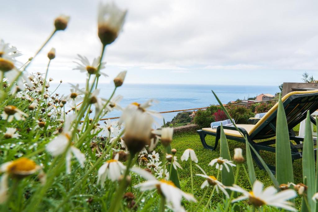 Appartement Casa da Tenda Impasse da Escadinha CCI 608, 9370-722 Arco da Calheta