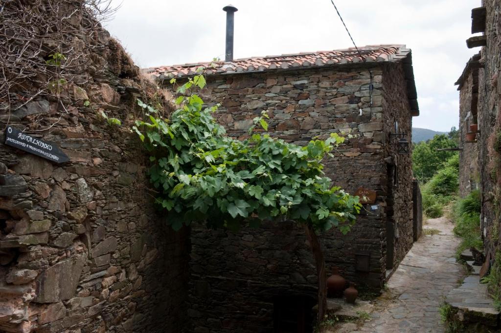 Séjour à la campagne Casa da Urze Talasnal, 3200-120 Lousã