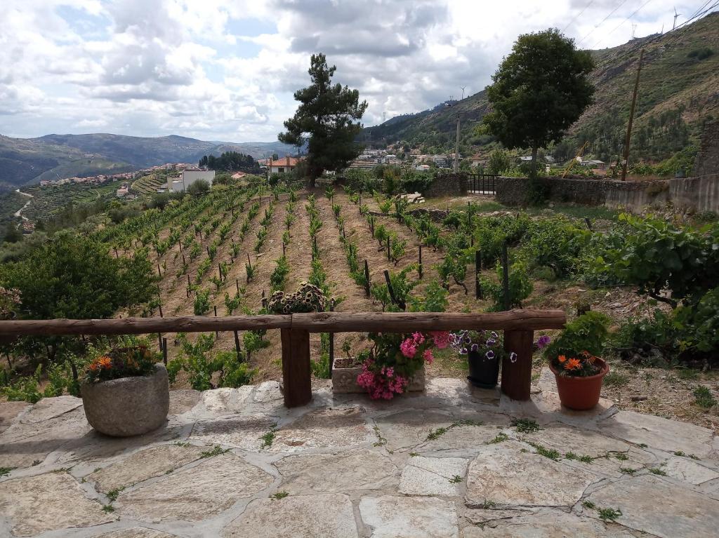 Maison de vacances Casa da Vinha em Tabuaço - Douro Lugar de São Plácido Estrada Secundária, 5120-371 Tabuaço