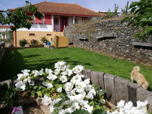 Maison d'hôtes Casa da Vinha Grande Travessa da Carrasqueira 21 Poiares