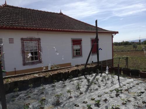 Casa da Vinha Grande Poiares portugal