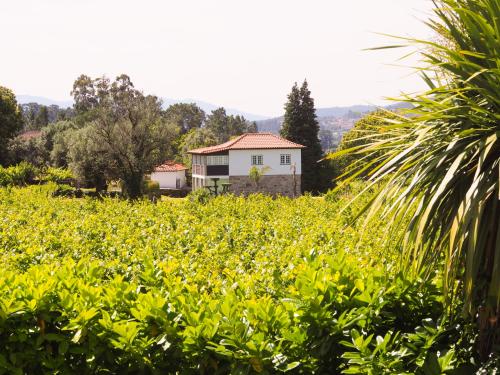 Casa da Vinha Arcos de Valdevez portugal