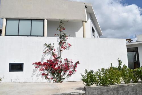 Appartement Casa das Buganvilias Caminho do Barreiro São Sebastião