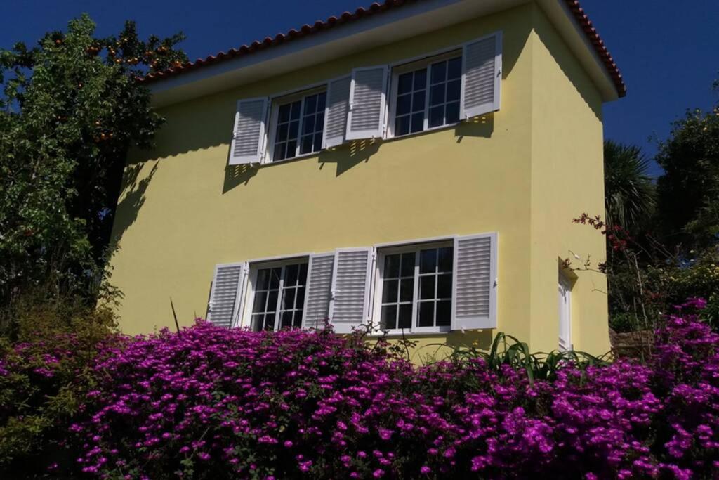 Maison de vacances casa das laranjeiras 93 Rua Bouças, 4560-027 Abragão