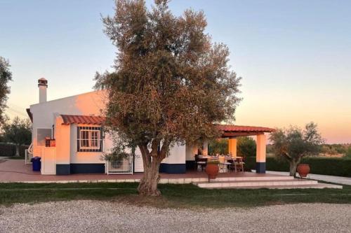 Casa das Oliveiras Aviz portugal