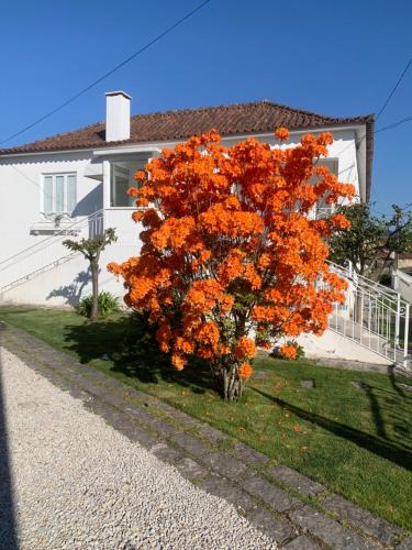 Casa das Uveiras Paços de Ferreira portugal