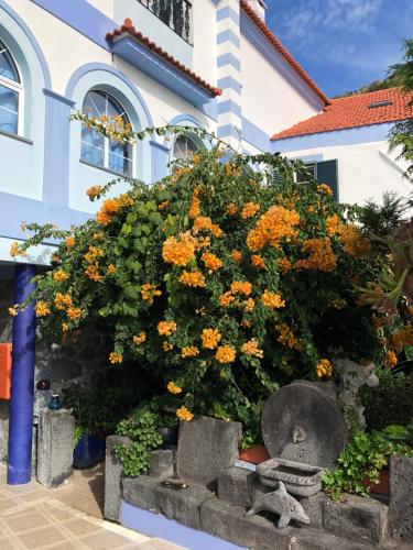 Casa Do Antonio Velas portugal