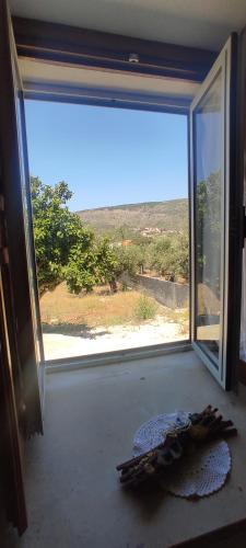 Casa do Avô Pedro Lagar Novo portugal