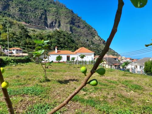 Casa do Bago São Vicente portugal