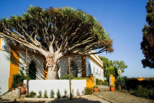 Casa do Castelo - Turismo de Habitação Atouguia da Baleia portugal