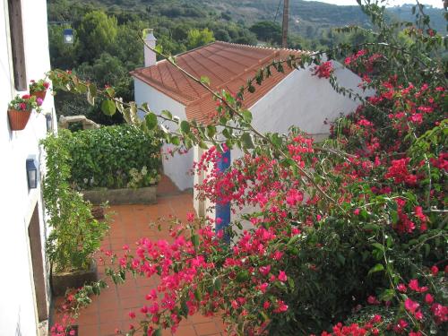 Maison de vacances Casa do Cravo Calçado do Cravo nº 8 Santo Isidoro