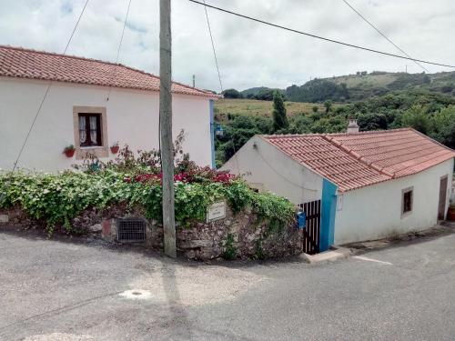 Casa do Cravo Santo Isidoro portugal