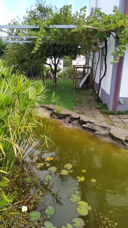 Maison de vacances Casa do Lago Rua da Amizade 27, Vale de Grou, 6110-163 Vila de Rei