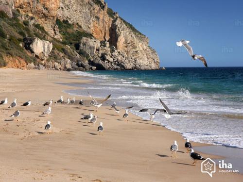 Casa do Mastro Sesimbra portugal