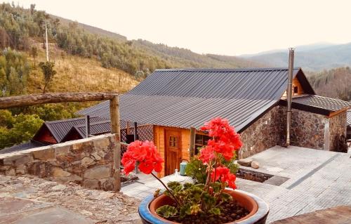 Séjour à la ferme Casa do Ouriço Ribeira Velha Campelo Figueiró dos Vinhos