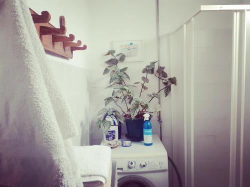 Appartement Casa dos Corações - Turismo Regenerativo 2 Rua Vivas Beirã