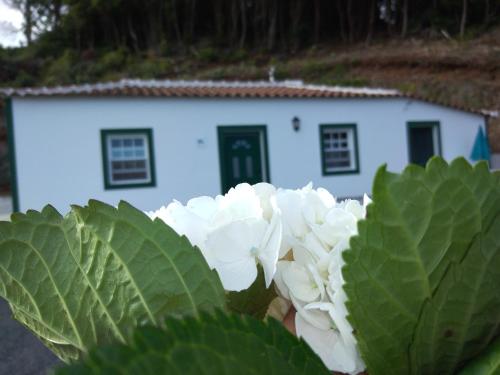 Casa dos Valentes Santo Espírito portugal