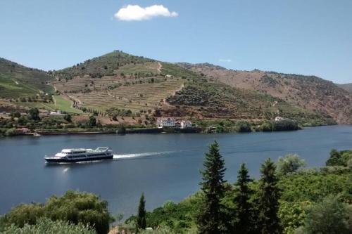 Maison de vacances Casa dos Vinhais - Douro Valley Rua da Capela, N 188, 5140-321 Seixo de Ansiães Coleja