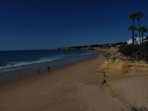 Casa Flora Praia da rocha Portimão portugal