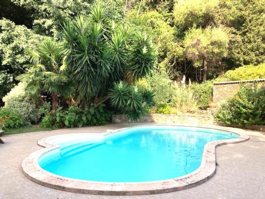Villa Casa Galli- Belle villa coeur de ville avc piscine Chemin de Forcone à Toga, 20200 Bastia
