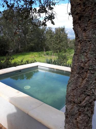 Maison de vacances casa gattu Travo 49 Porto-Vecchio