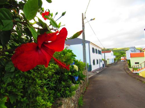 Appartement Casa L&M Rua Professor Francisco Rodrigues Vieira, nº 2 Lajes das Flores