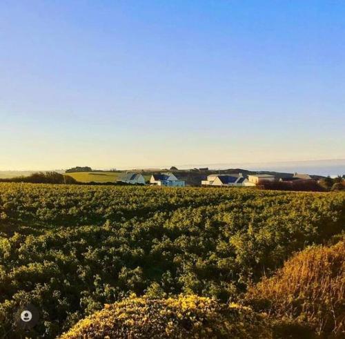 Casa MAJa Bretagne, Gîte 4/5pers, PLAGE de PENTREZ Saint-Nic france