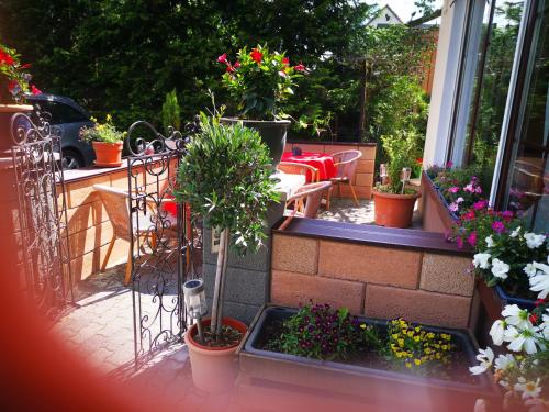 Maison d'hôtes Casa Mia Pension am Mailandsberg Berliner Chaussee 45 Wittemberg