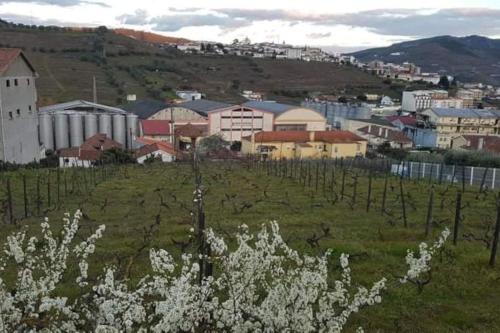 Appartement Casa Moscatel - Douro Valley Rua Moscatel, Urb. Qta. Viana, Lote 5D Peso da Régua