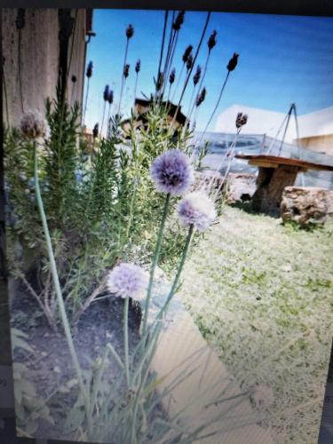 Casa na Natureza São Bartolomeu portugal