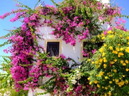 Maison de vacances Casa Portuguesa Casa Portuguesa, Estrada da Praia da Coelha CP 363-N, C, Sesmarias C Albufeira