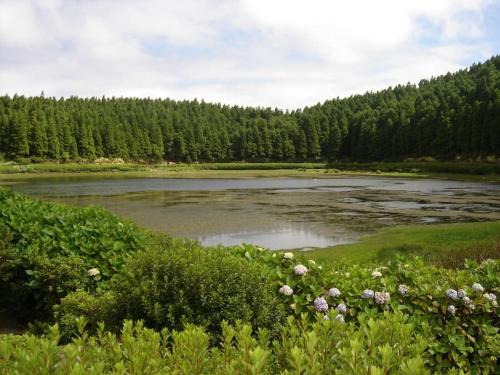 Casa Rústica Sete Cidades portugal