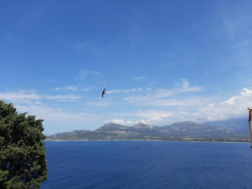 Appartement Casa Santa Carrughju Giubega Calvi