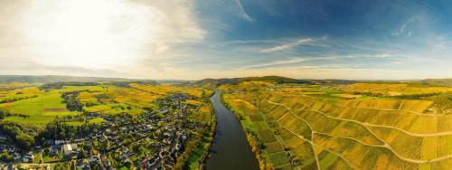 Casa Schneider - Urlaub an der Mittelmosel Enkirch allemagne