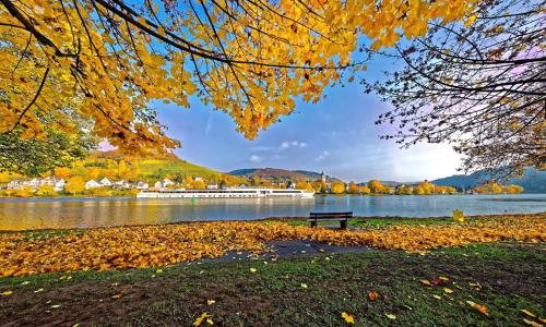 Appartement Casa Schneider - Urlaub an der Mittelmosel 12 Berliner Straße Erdgeschoss Enkirch