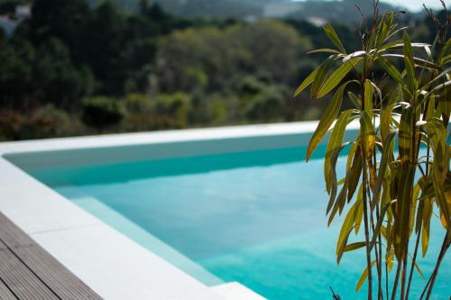 Casa-Simplicity Gracieira portugal