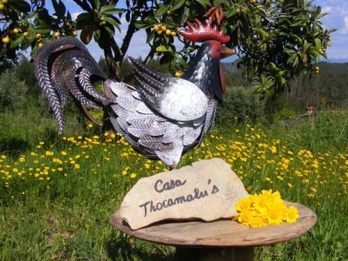 casa thocamalu's Covelo portugal