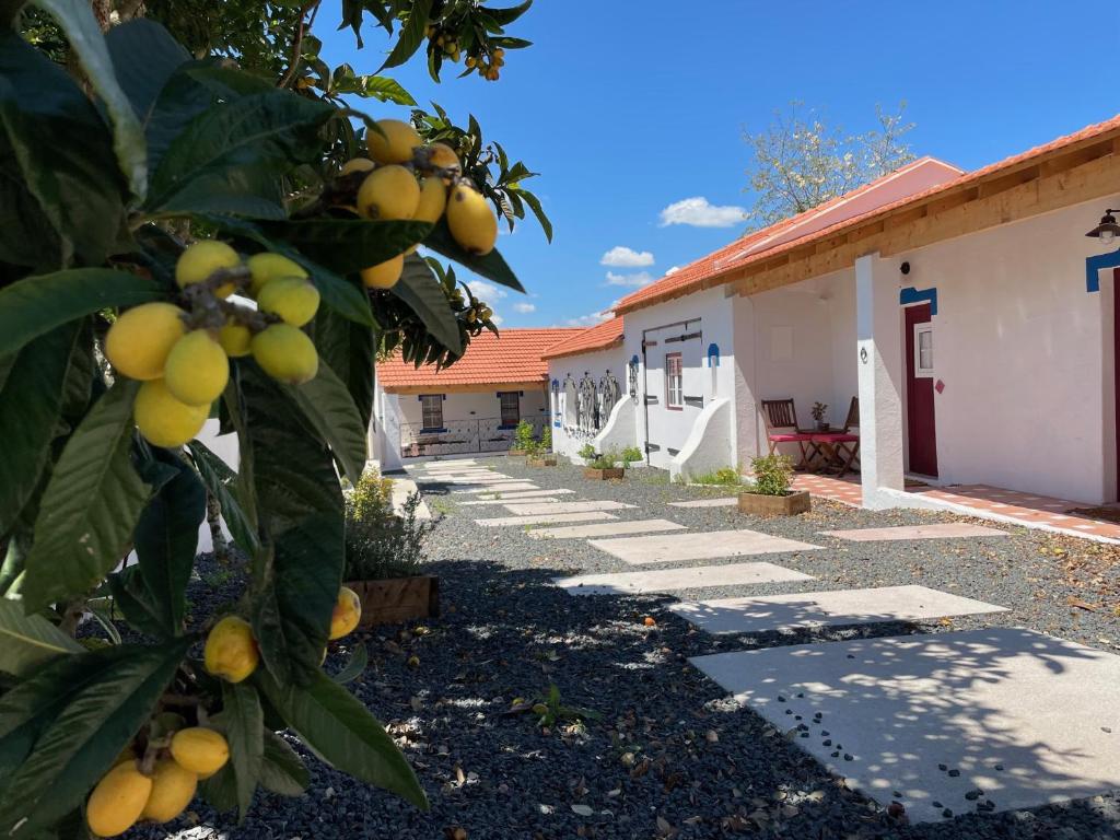 Maison d'hôtes Casal de Santanna Rua do Larau, 2070-223 Cartaxo