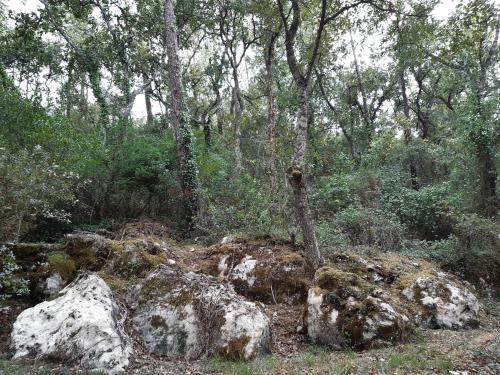 Casal do Morgado, country house to relax Formigais portugal