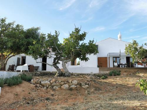 Maisons de vacances Casas de Taipa Quinta Vale del Rei Lagoa