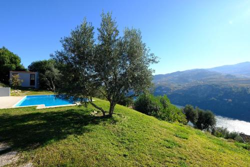 Maison de vacances Casas do Casinhoto - Casa com Vista Douro EM581-1, Estrada de Carrapatelo, n.º 252 Baião