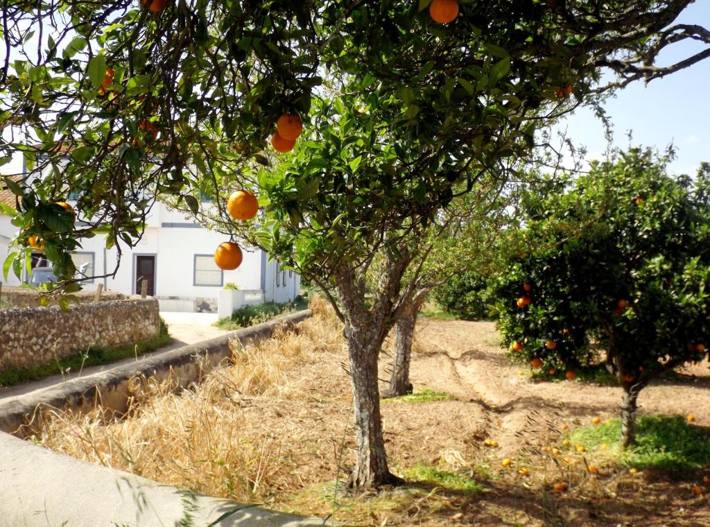 Maison de vacances Casas do Pomar Estrada do Paúl, Sargaçal, Lagos, 8600-325 Lagos