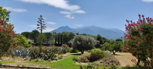 Castell Rose Prades france